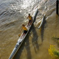 course_pirogue_BX (33 sur 38)